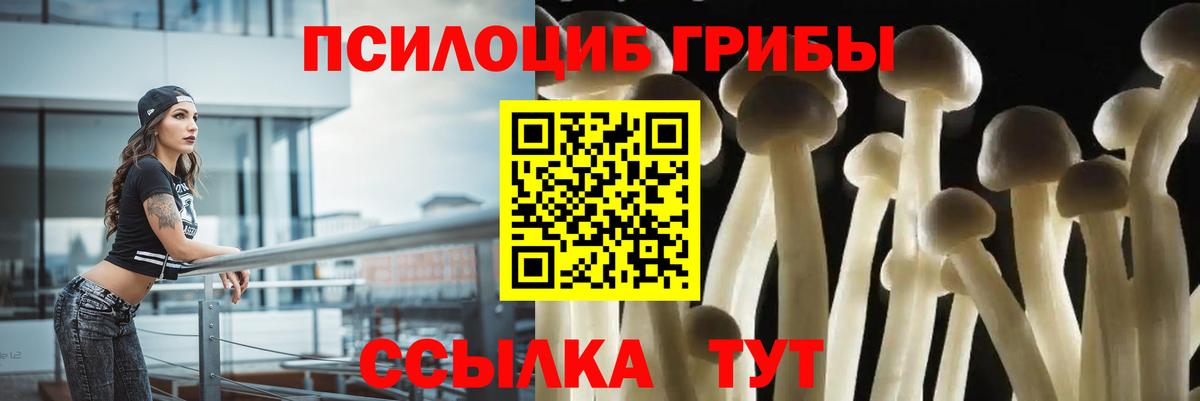 Псилоцибиновые грибы ЛСД Оренбург