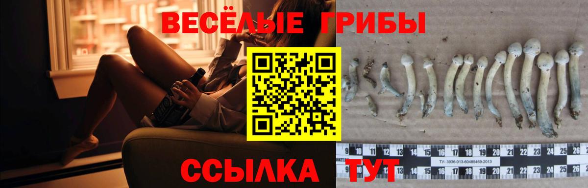 Галлюциногенные грибы Psilocybine cubensis  Вход с VPN  Оренбург 